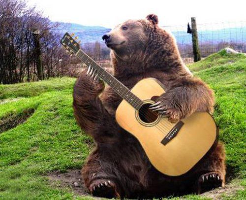ours-musicien-guitariste.jpg